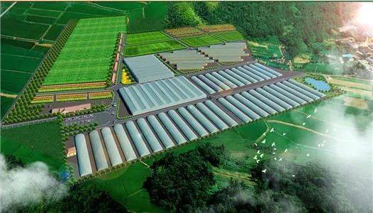 推動產業升級 2023年農業農村部重點發展鄉村旅游與農產品精深加工