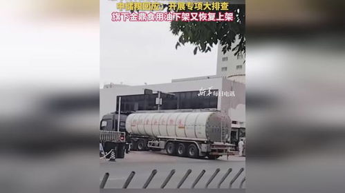 食用油安全風波再起 中儲糧金鼎疑遭污染，官方緊急行動凸顯行業隱憂